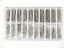 STAINLESS STEEL BURKLE SPRING BAR OF 300 PCS FOR WATCHES - Universal Jewelers & Watch Tools Inc.