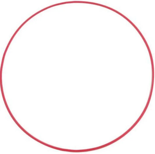 Vintage - Omega Gasket 2982-2860 Red | 28.6mm Fit | Speedmaster / Constellation