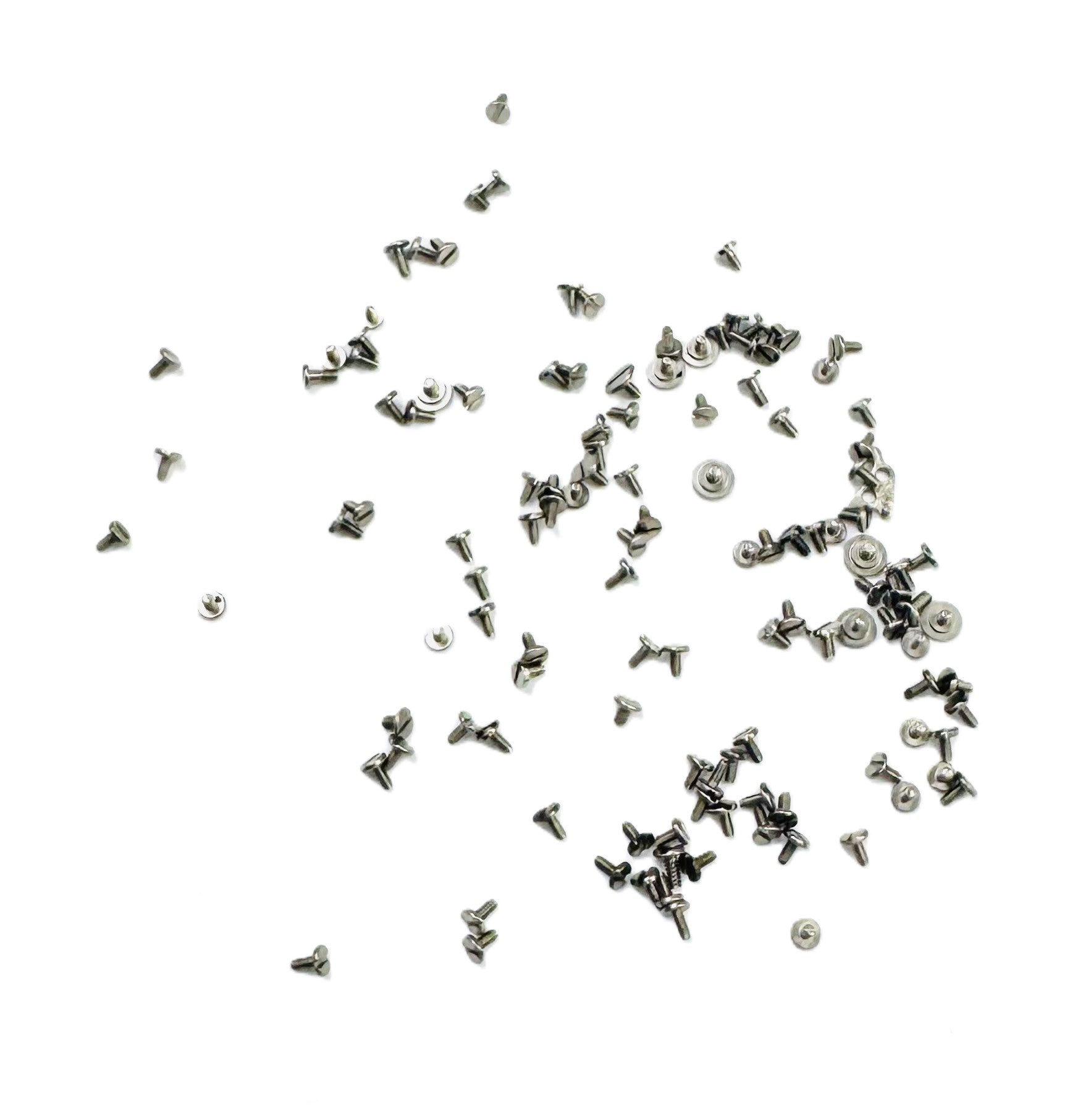 100 pcs of Screws for Battery Clasps in Quartz Movement - Universal Jewelers & Watch Tools Inc.