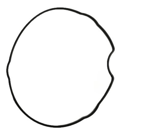 Gasket Made to Fit CA15 - CARTIER Large Ballon Bleu Model No. 280 - Universal Jewelers & Watch Tools Inc.