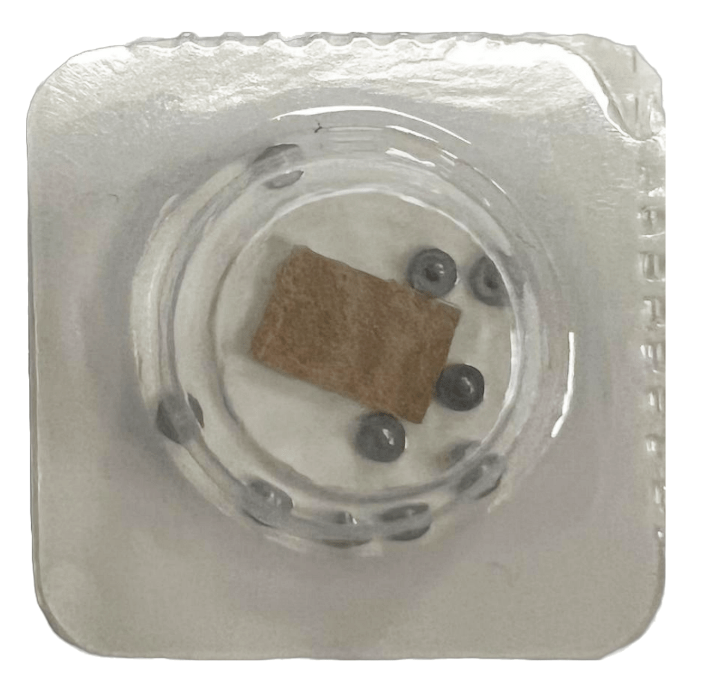 High Quality Rolex Caliber Fit 3135 - 5210 Best Compatible for Rolex Watch 10pcs - Universal Jewelers & Watch Tools Inc.