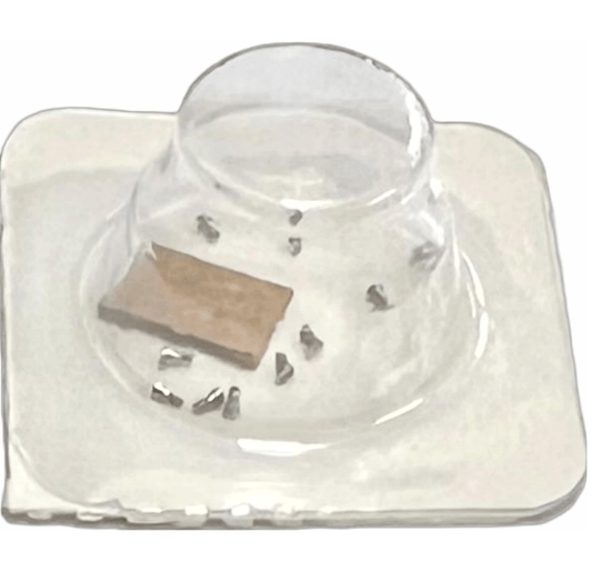 High Quality Rolex Caliber Fit 3135 - 5452 Best Compatible for Rolex Watch 10pcs - Universal Jewelers & Watch Tools Inc.