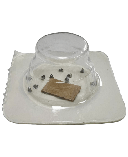 High Quality Rolex Caliber Fit 2235 - 5115 Best Compatible for Rolex Watch 10pcs - Universal Jewelers & Watch Tools Inc.