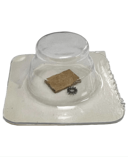 High Quality Rolex Caliber Fit 3035 - 5065 Best Compatible for Rolex Watch 10pcs - Universal Jewelers & Watch Tools Inc.