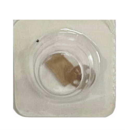 High Quality Rolex Caliber Fit 3135 - 510 Best Compatible for Rolex Watch - Universal Jewelers & Watch Tools Inc.