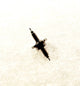 Rolex Watch Movement Part Calibere 1220 Part Balance Staff