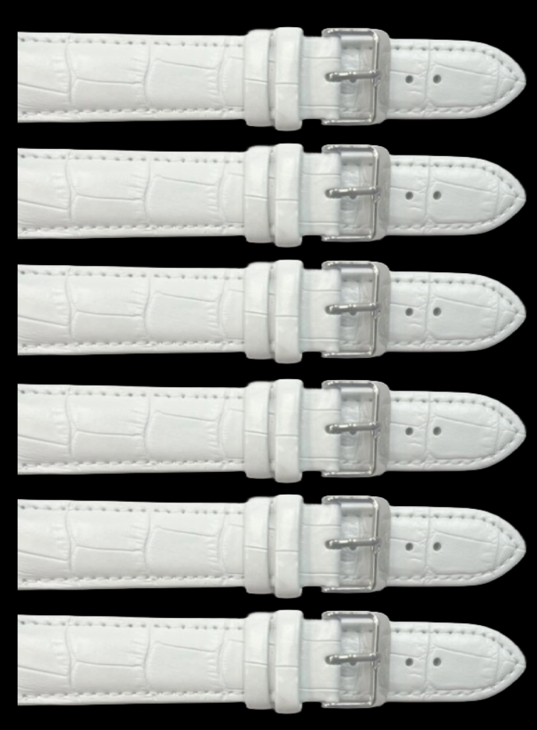 6PCS Alligator Grain WHITE Leather Watch Band (12MM-30MM + XXL Sizes) Padded & Stitched