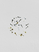 Pack of 25Pcs. Assortment of Small Second Hand Universal, watchmakers Parts - Universal Jewelers & Watch Tools Inc.