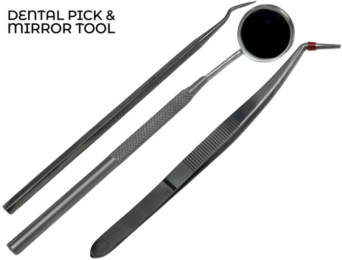 Dental Pick & Mirror Tool Sculpture Instrument Oral Kit Tooth Teeth