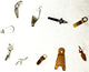 ASSORTED x10 Quartz Watch Battery Clasps Clamps/bridge - Universal Jewelers & Watch Tools Inc.