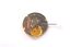 ETA  E63.111/255.411  DT 3 Watch Quartz Movement - Universal Jewelers & Watch Tools Inc. 